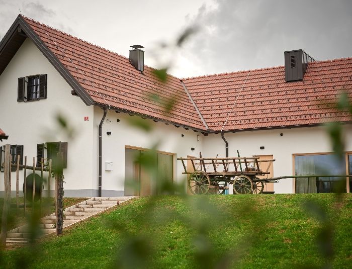 Dvorišče Vinee Panonike