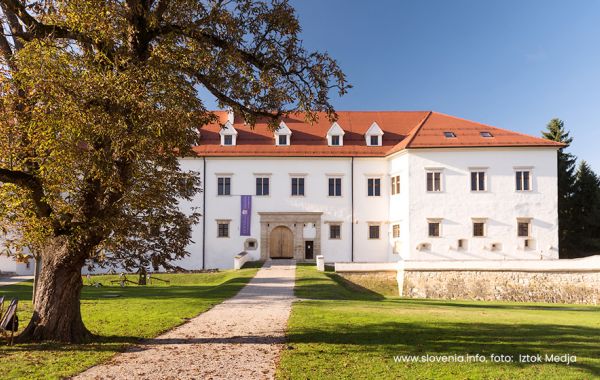 Pomurje z gradovi, npr. v Gornji Radgoni