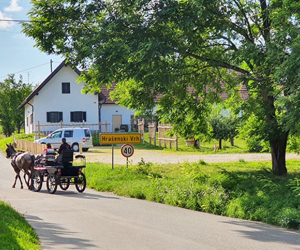 Parkirišče Vinee Panonike in dovozna pot