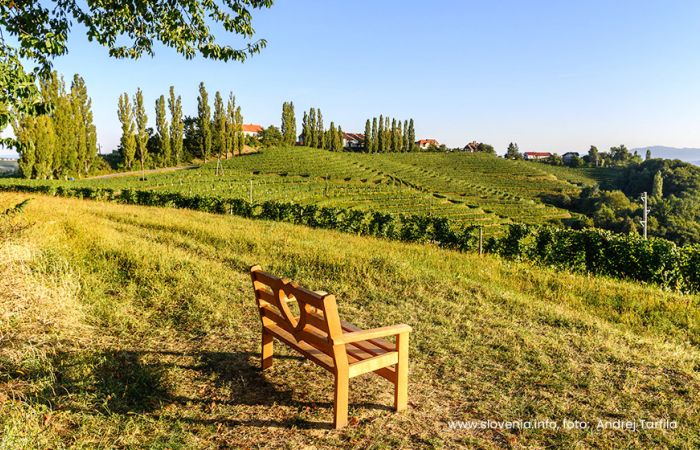 Pomurje s številnimi kolesarskimi potmi