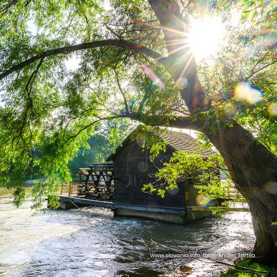 Pomurje z Otokom ljubezni na Muri