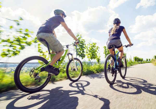 Vinea Panonika in njena okolica sta idealni za kolesarjenje, šport in sprostitev