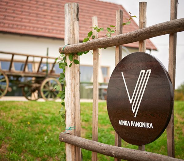 Vinea Panonika in njeno dvorišče 
