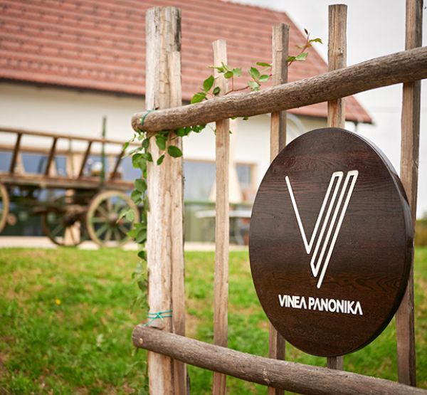 Vinea Panonika and its back yard